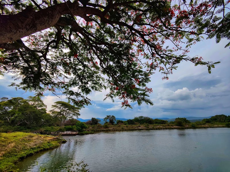 Moyar Dam