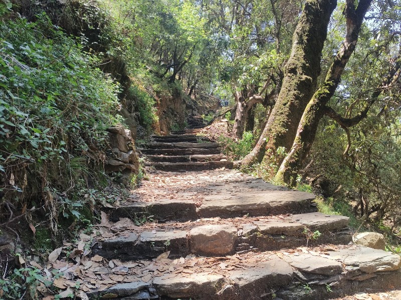 Mahavatar Babaji’s Cave - Mahavatar Babaji’s Cave, RFM8+77W, Dwarahat Range, Uttarakhand 263653, India