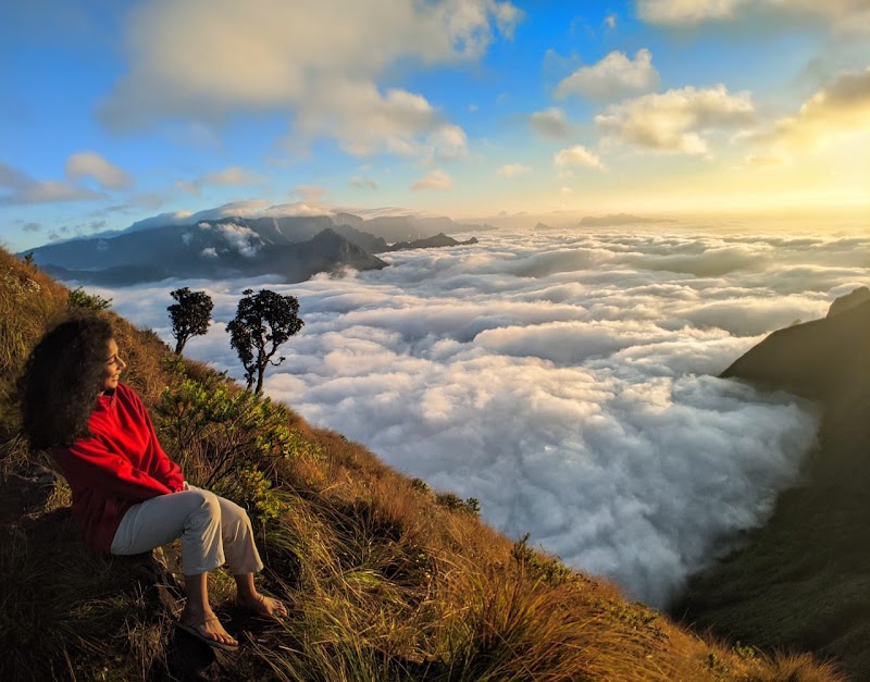 MUNNAR ,MARAYUR & KANTHALLOOR ROOMS &TOUR PACKAGES🌿🌄⛰️🌇 - MUNNAR ,MARAYUR & KANTHALLOOR ROOMS &TOUR PACKAGES🌿🌄⛰️🌇 Kanthalloor - Marayoor Rd, Marayoor, Kerala 685620, India