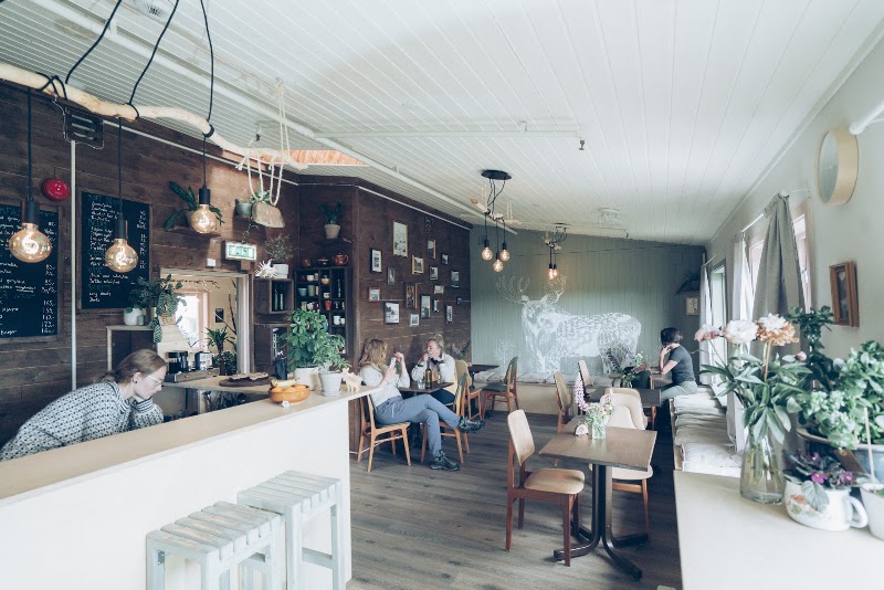 FURU Café - FURU Café, Knutstadveien 242, 8360 Bøstad, Norway