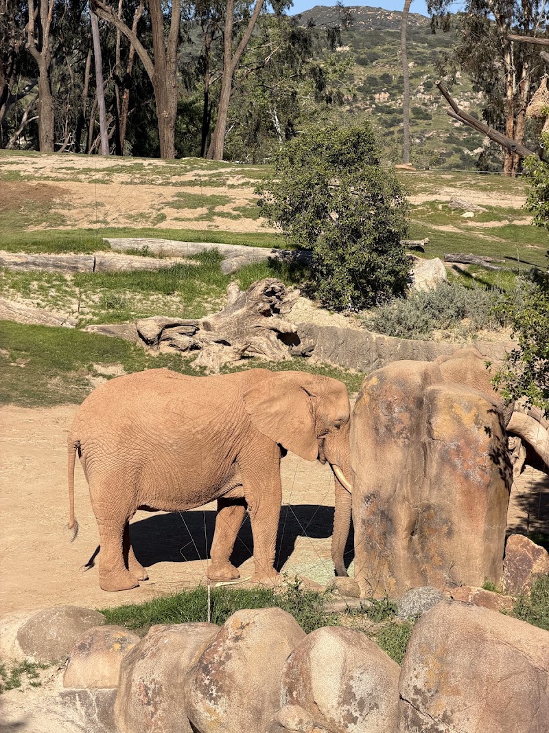 Elephant Valley - Elephant Valley San Diego Zoo Safari Park, 15500 San Pasqual Valley Rd, Escondido, CA 92027, USA