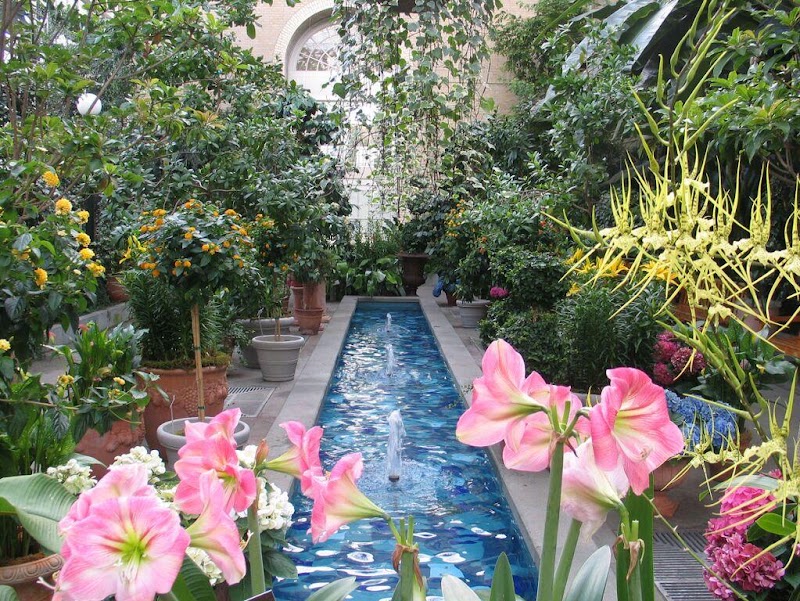 United States Botanic Garden - United States Botanic Garden 100 Maryland Ave SW, Washington, DC 20001, USA