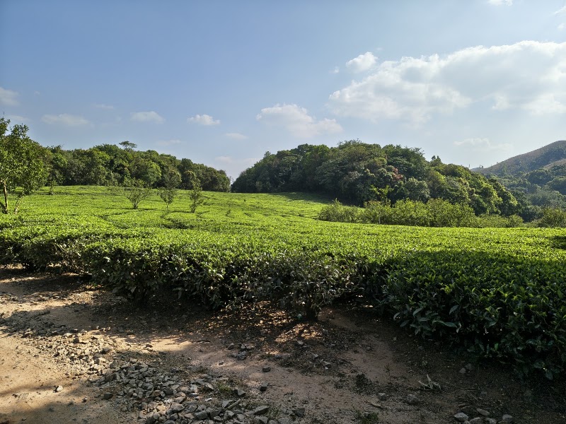 Kadumane View Point - Kadumane View Point WM6F+HMG, Kadumane, Karnataka 573134, India