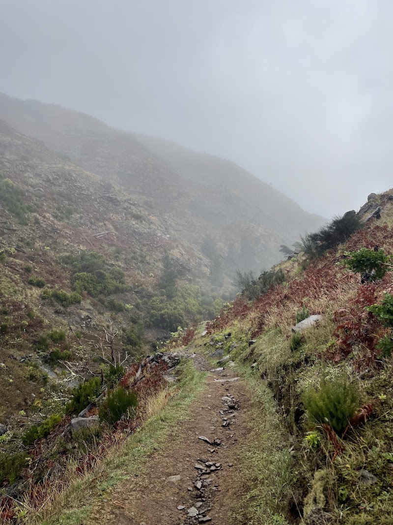 PR 3.1 Ribeira das Cales - PR 3.1 Ribeira das Cales Largo Fonte T 21 e 48, Monte, 9050-288 Funchal, Portugal