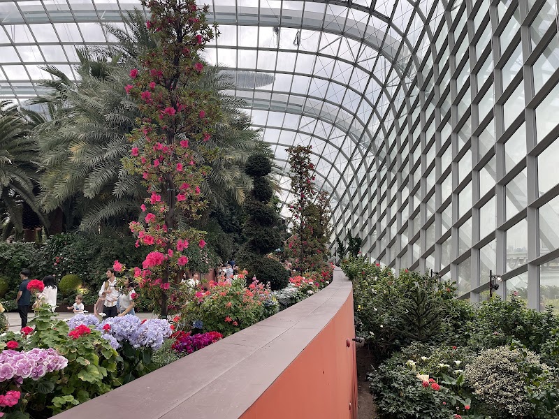 Flower Dome - Flower Dome 18 Marina Gardens Dr, Singapore 018953