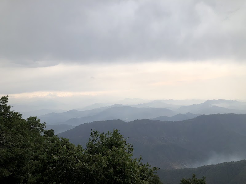 Binsar Wildlife Sanctuary - Binsar Wildlife Sanctuary PQ43+6H4, Binsar, Uttarakhand 263601, India