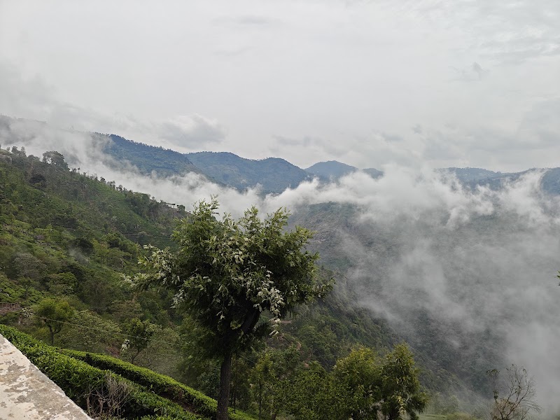Coonoor Hill Station - Coonoor Hill Station 8QWV+2WJ, Upper Bazaar St, Kumaran Nagar, Coonoor, Tamil Nadu 643102, India