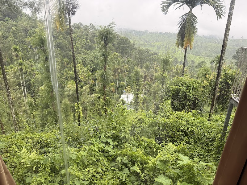 Wayanad Tripadvisor LLP - Wayanad Tripadvisor LLP, Door no 684 Thanhilode, po, Meppadi, Vellarimala, Keralam 673577, India