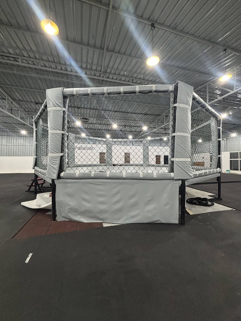 Fit & Fight Club, Wagholi - Fit & Fight Club, Wagholi Satav Patil sports complex, Baif Rd, Domkhel, Wagholi, Pune, Awhalwadi, Maharashtra 412207, India