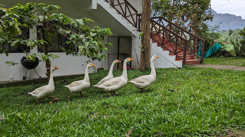 The Wilderness Resort - The Wilderness Resort Allurvayal, Thorpally, Mudumalai, Gudalur, Tamil Nadu 643211, India