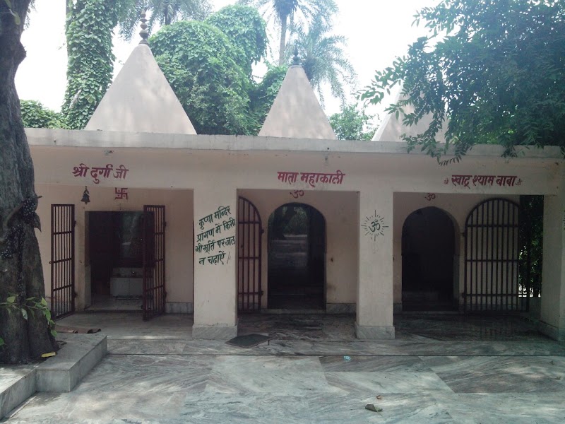 Saini - Saini, Uttar Pradesh 250001, India