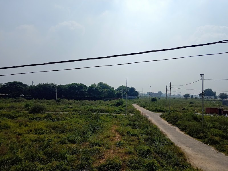Saini - Saini, Greater Noida, Uttar Pradesh, India