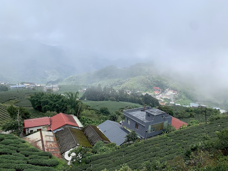Mist Trail - Mist Trail 604, Taiwan, Chiayi County, Zhuqi Township, 16
