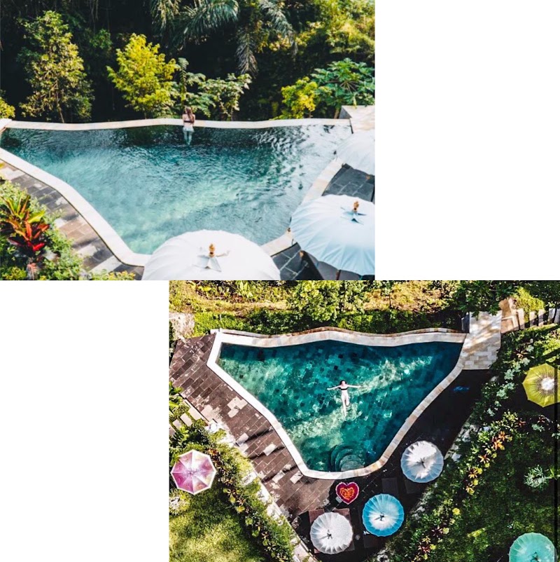 The Jungle Villa Penestanan Kelod Sayan,ubud - The Jungle Villa Penestanan Kelod Sayan,ubud Br,Penestanan Kelod, Sayan, Kecamatan Ubud, Kabupaten Gianyar, Bali 80571, Indonesia