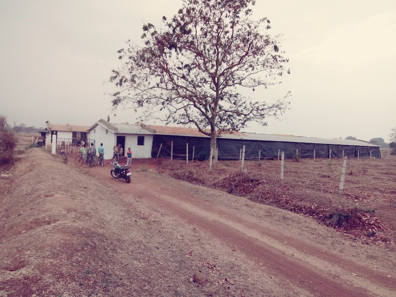 WElCome Poultry Ind.{ROYAL RAJPut Form} - WElCome Poultry Ind.{ROYAL RAJPut Form}, 2VHW+PGX, Jaunda-2, Chhattisgarh 493885, India