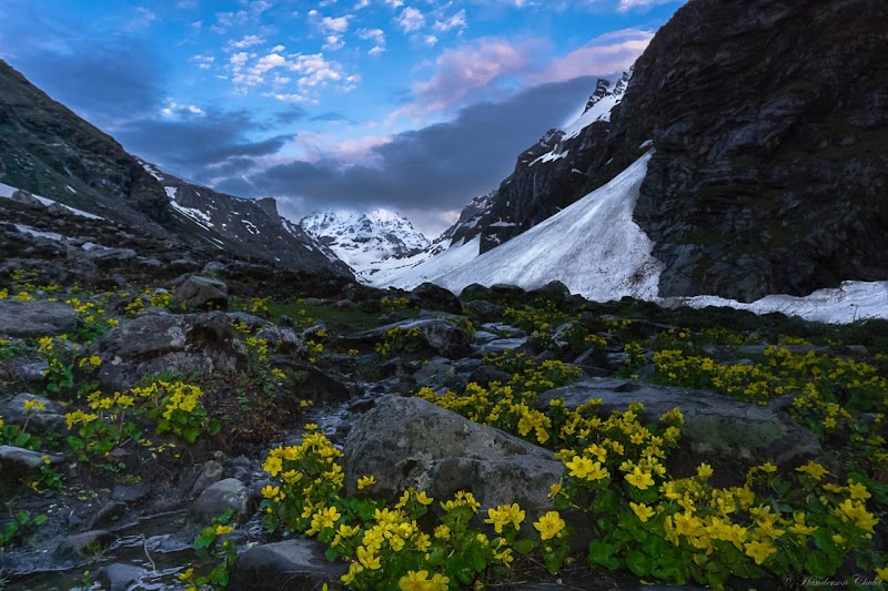 Hamta Pass - Hamta Pass Manali, Himachal Pradesh 175140, India