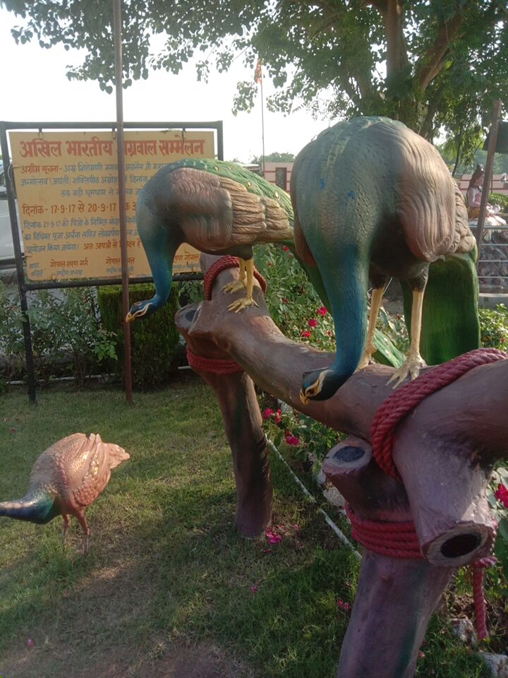 The Fun Park - The Fun Park 6QMG+CRM, Balsamand Rd, Marval City, Professor Colony, Hisar, Bir Hisar, Haryana 125005, India