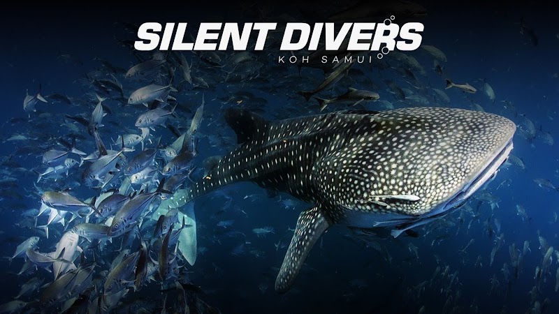 Silent Divers