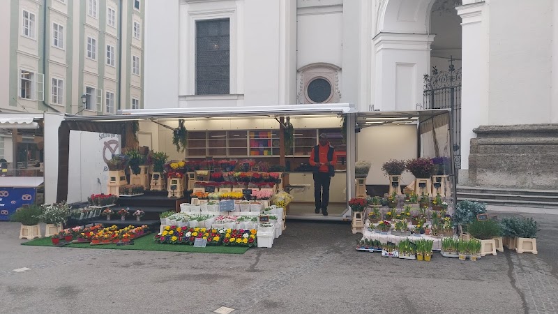 Blumen Sappi - Blumen Sappi Grünmarkt vor der Kirche, Universitätspl., 5020 Salzburg, Austria