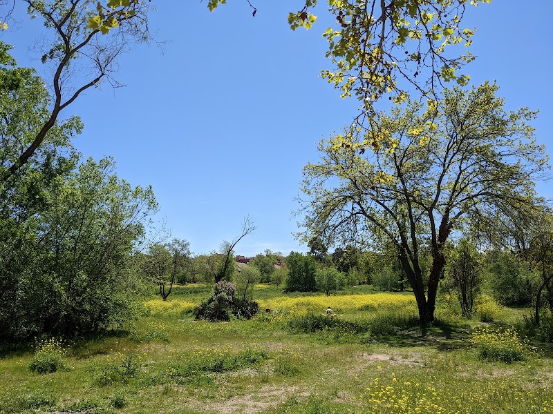 Golondrina Park - Golondrina Park, Unnamed Road, 28023, C. del Escultor Peresejo, 11, Moncloa - Aravaca, 28023 Madrid, Spain
