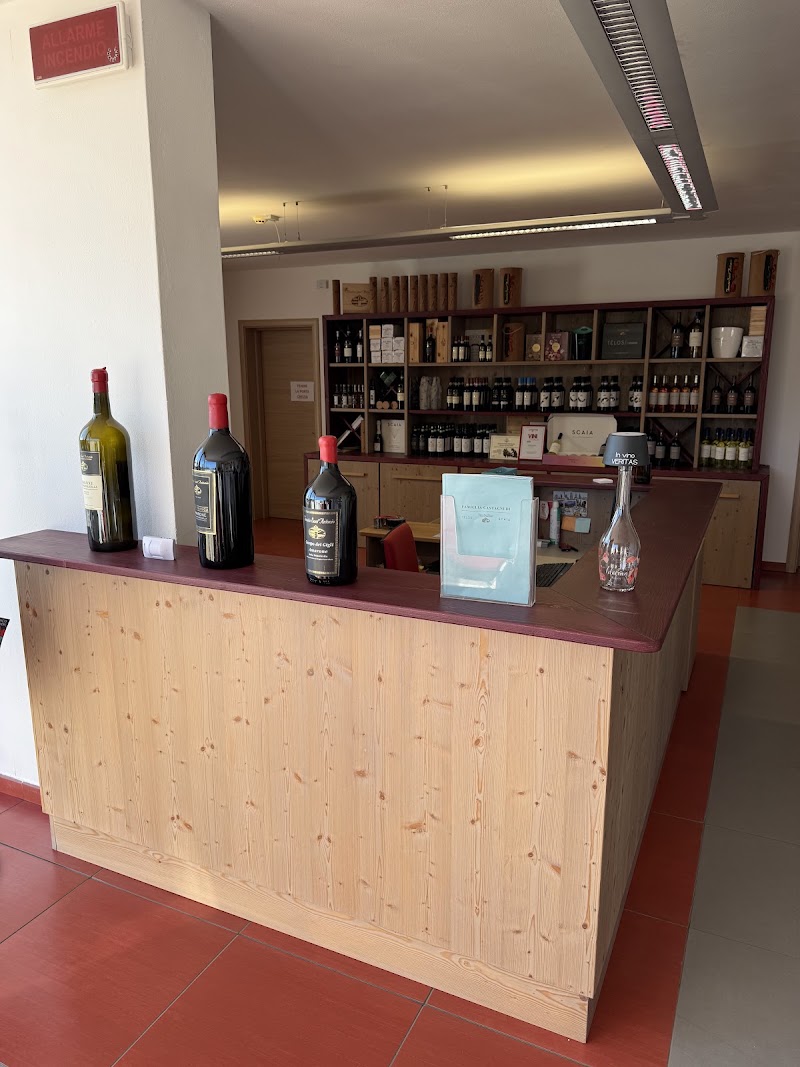 SCAIA WINE-SHOP: It looks like Wine, It feels like Community. - SCAIA WINE-SHOP: It looks like Wine, It feels like Community., Via Ceriani, 23, 37030 Colognola ai Colli VR, Italy