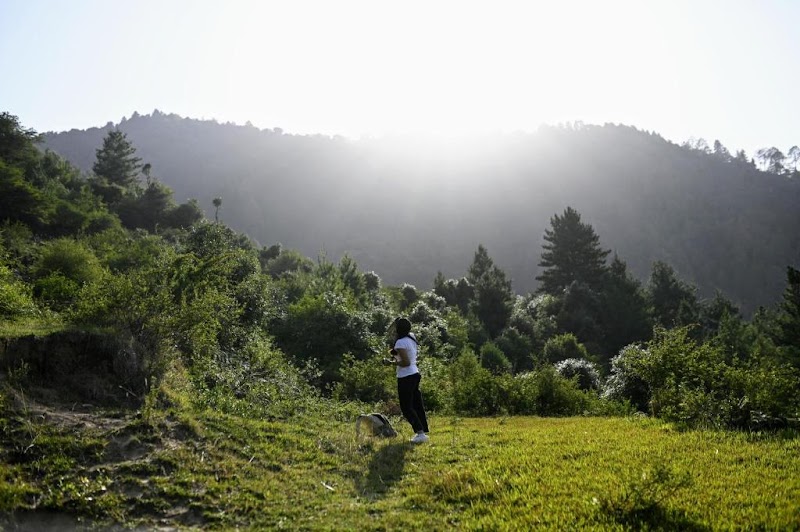 Chalo Daanda | Forest Farm Homestay - Chalo Daanda | Forest Farm Homestay, Jitendra Singh, P.O, Chopriyal village, Nail Bagi, Chamba, Uttarakhand 249130, India