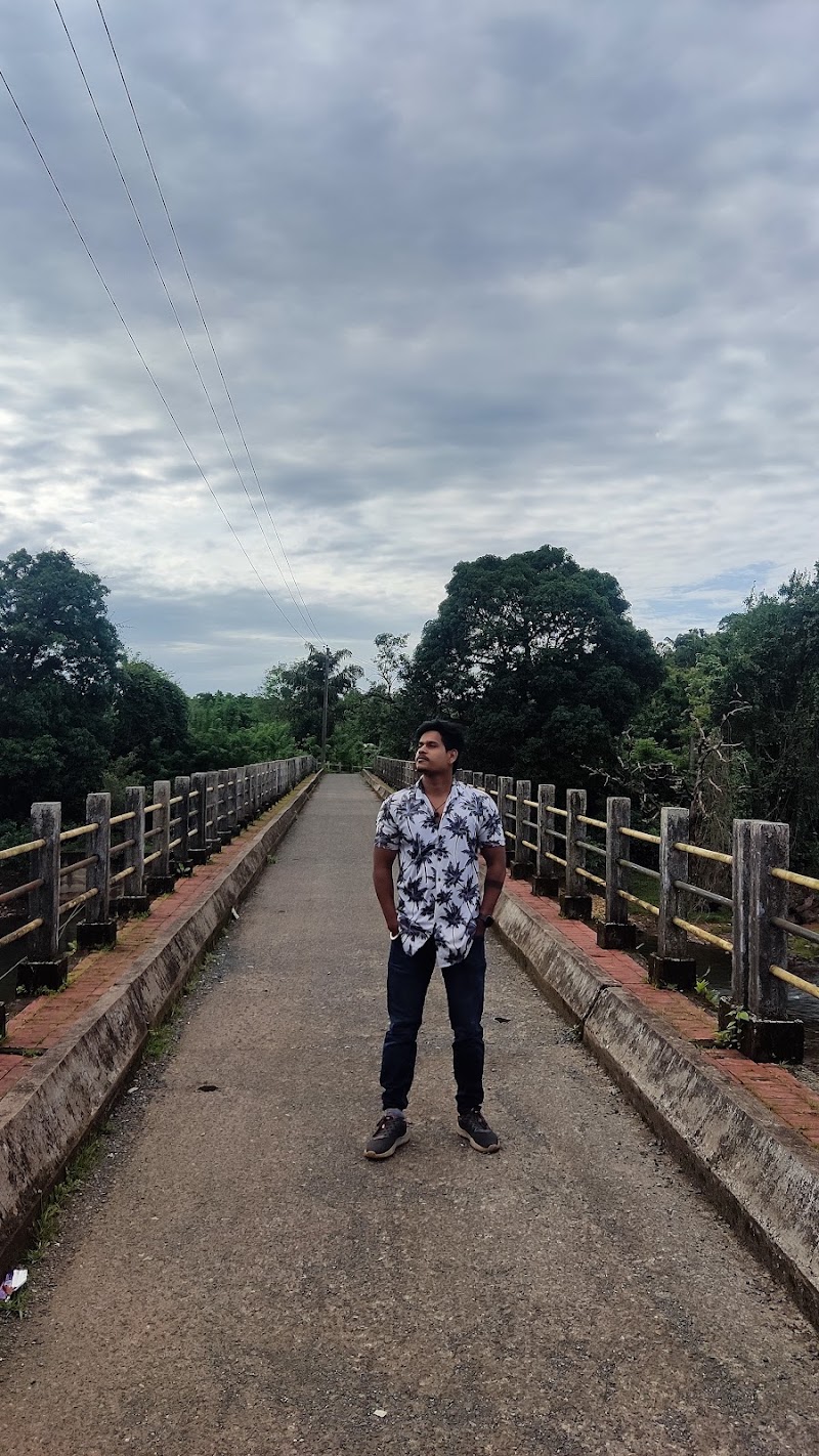 Tourism attraction bridge - Tourism attraction bridge C58H+3H, Panas, Goa 403406, India