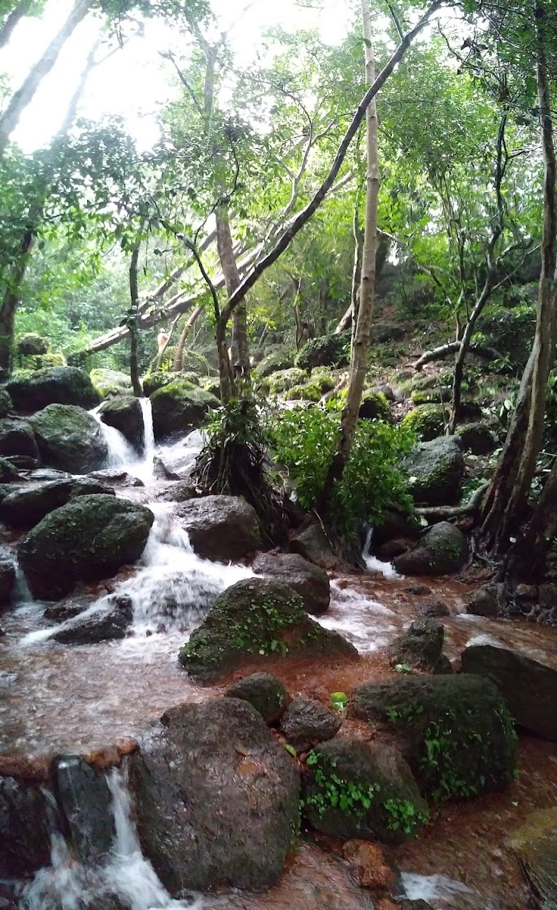 Arbi Falls - Arbi Falls 8QPV+MCR, Manipal, Dasharath Nagar, Badagabettu, Karnataka 576104, India