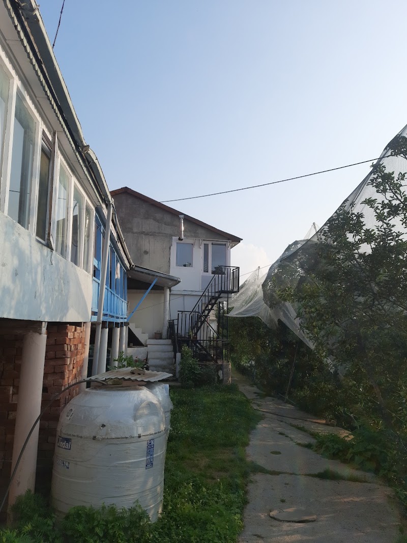 Thanedhar - Thanedhar, 8FFR+363, Narkanda, Thanadhar, Himachal Pradesh 172030, India