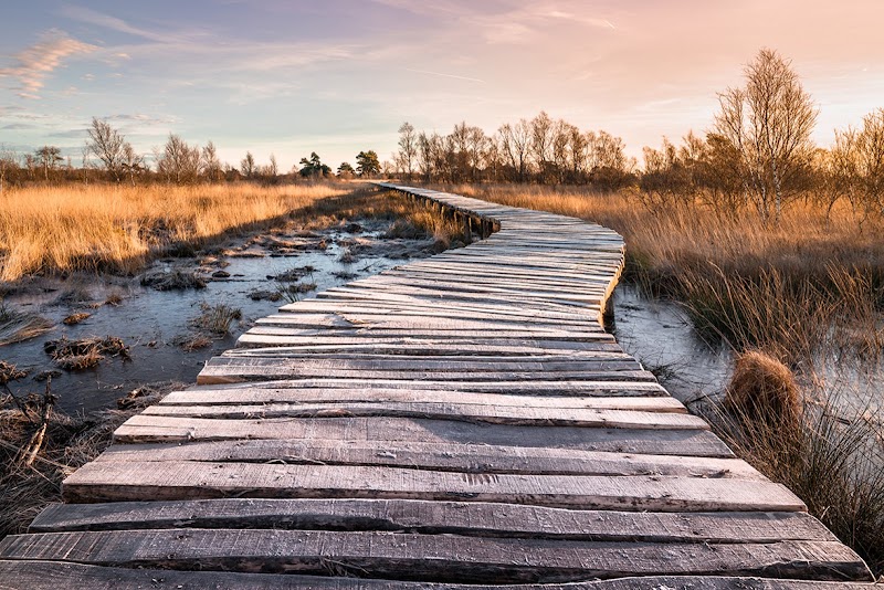Nationaal Park De Groote Peel - Nationaal Park De Groote Peel, Moostdijk 15, 6035 RB Ospel, Netherlands