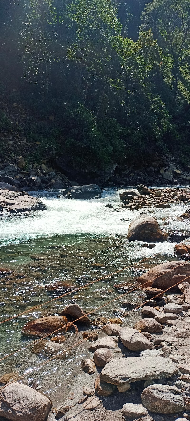 Rimbi Orange Garden - Rimbi Orange Garden Pelling-Rimbi Rd, Pelling City, Sikkim 737113, India