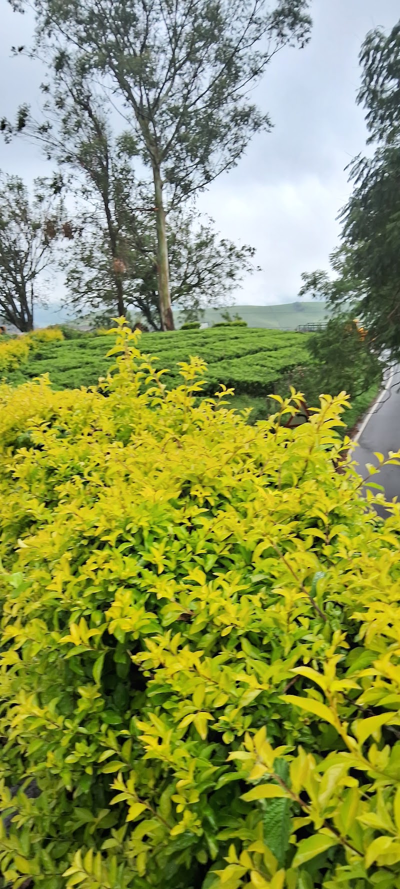 Photo Point - Photo Point Munnar - Top Station Highway, Mattupetty, Munnar, Kannan Devan Hills, Keralam 685616, India