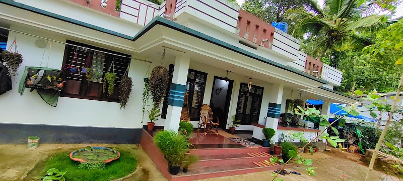 Padinjarathara - Padinjarathara, Keralam, India