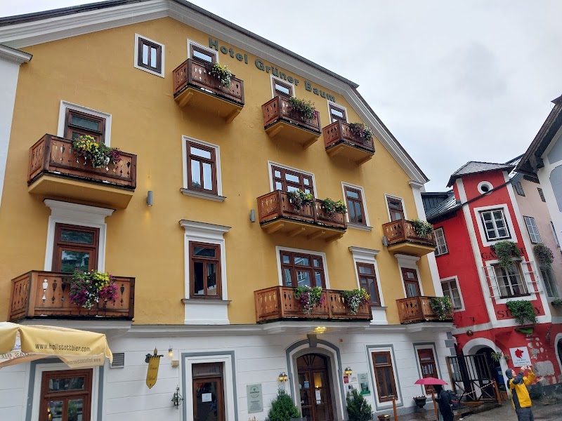Bootsverleih Hemetsberger - Bootsverleih Hemetsberger, Am Hof 126, 4830 Hallstatt, Austria