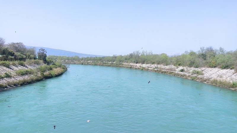 Rajaji National Park Safari Booking Office - Rajaji National Park Safari Booking Office, Near Cheela Dam, Haridwar- Rishikesh, Cheela Dam - Rishikesh Rd, Cheela Colony, Uttarakhand 249306, India