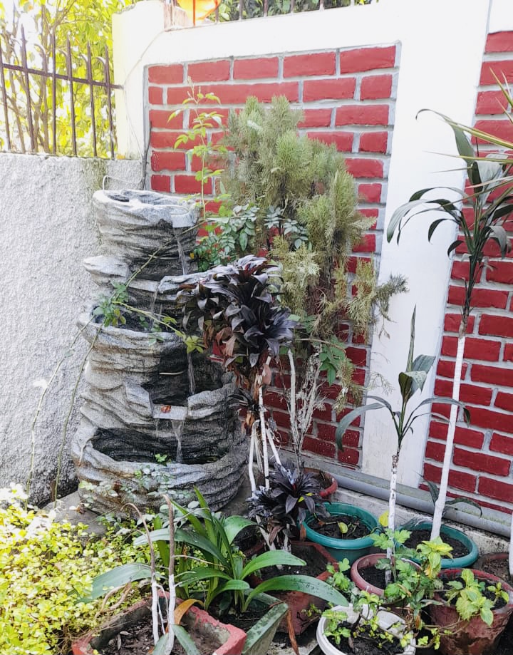 CASA HOMESTAYS - CASA HOMESTAYS, 73MJ+XPQ, beside Art of making foundation, Nehrugram, Dehradun, Uttarakhand 248014, India
