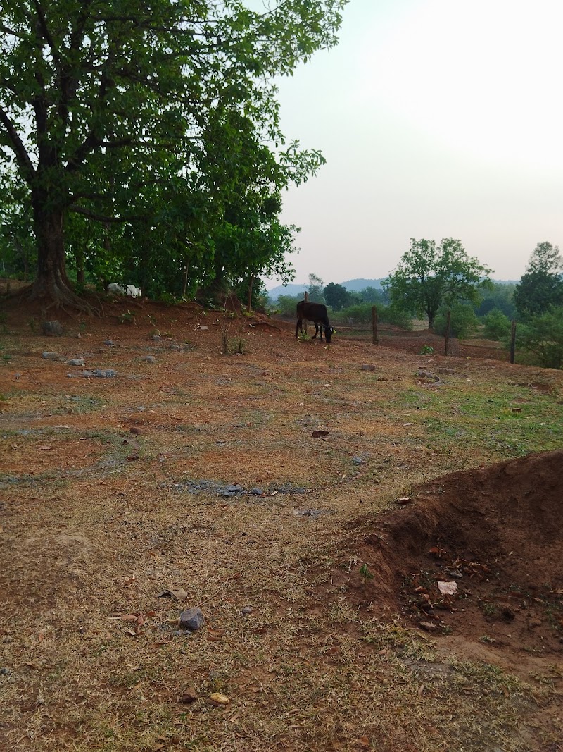 Nitai Gaur Akhanda Nama Yangya - Nitai Gaur Akhanda Nama Yangya, Minia, Phulbani, Odisha 762029, India