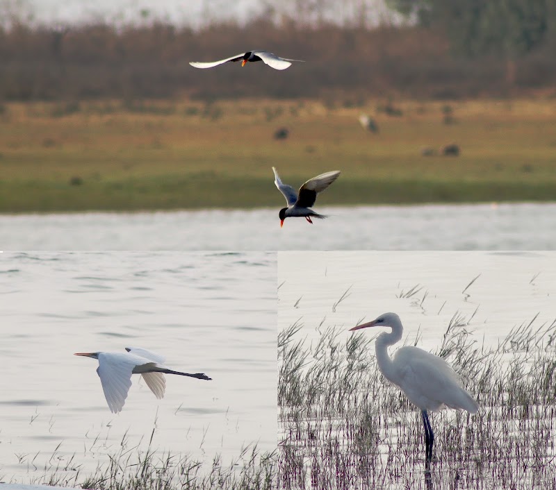 Kabini Backwaters - Kabini Backwaters X876+W9, Sogalli, Karnataka 571116, India