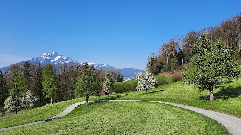 Sonnmatt Luzern Kurhotel Residenz - Sonnmatt Luzern Kurhotel Residenz Sonnmatt 1, 6006 Luzern, Switzerland