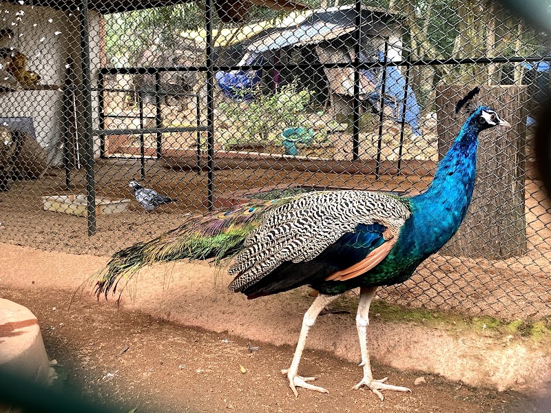Silathoranam Garden - Silathoranam Garden, Sila Thoranam Rd, Tirumala, Tirupati Urban, Andhra Pradesh 517504, India