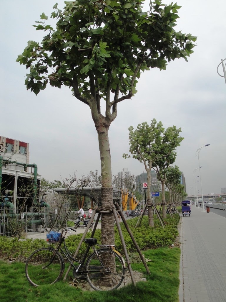 Minhang District - Minhang District, Shanghai, China