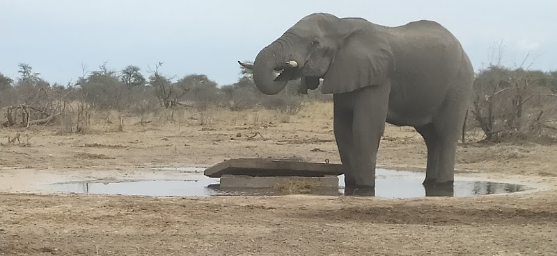 Maun - Maun, Botswana