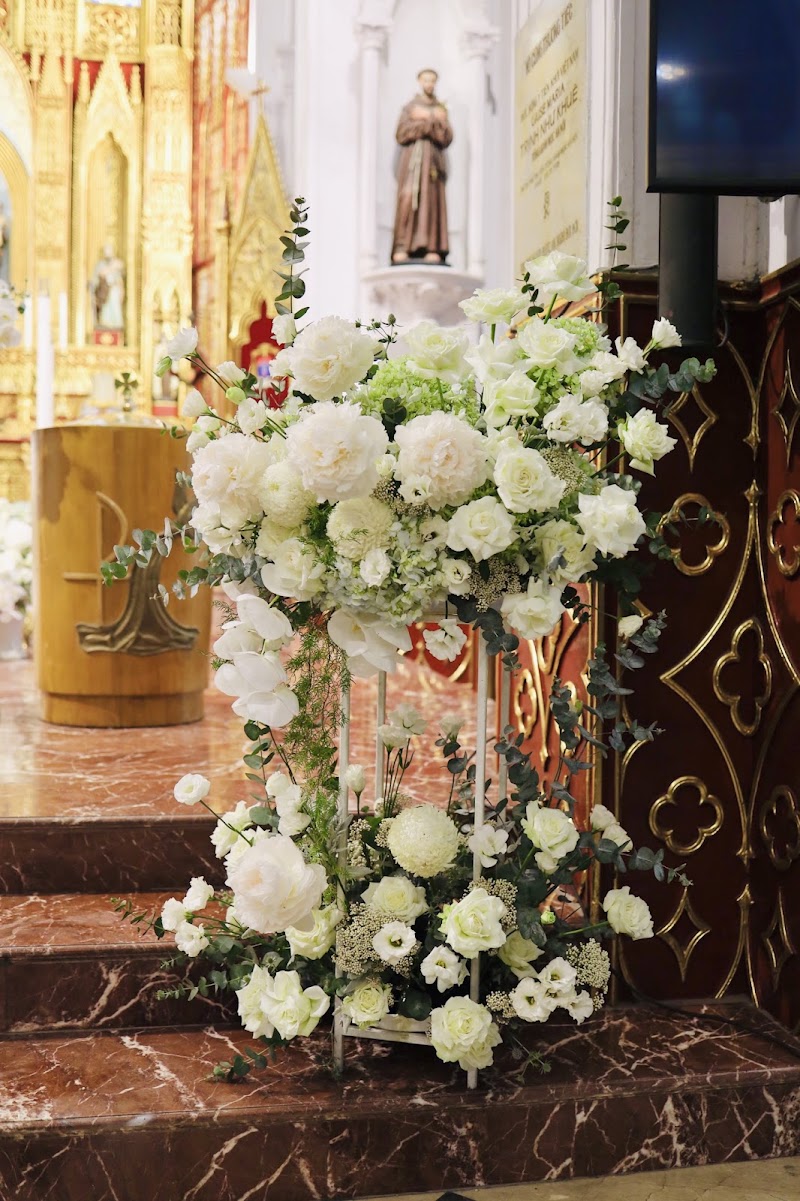 Hoa Nắng - Hoa bánh và sự kiện - Hoa Nắng - Hoa bánh và sự kiện, 78 Trung Tiền, Văn Miếu - Quốc Tử Giám, Hà Nội, Vietnam