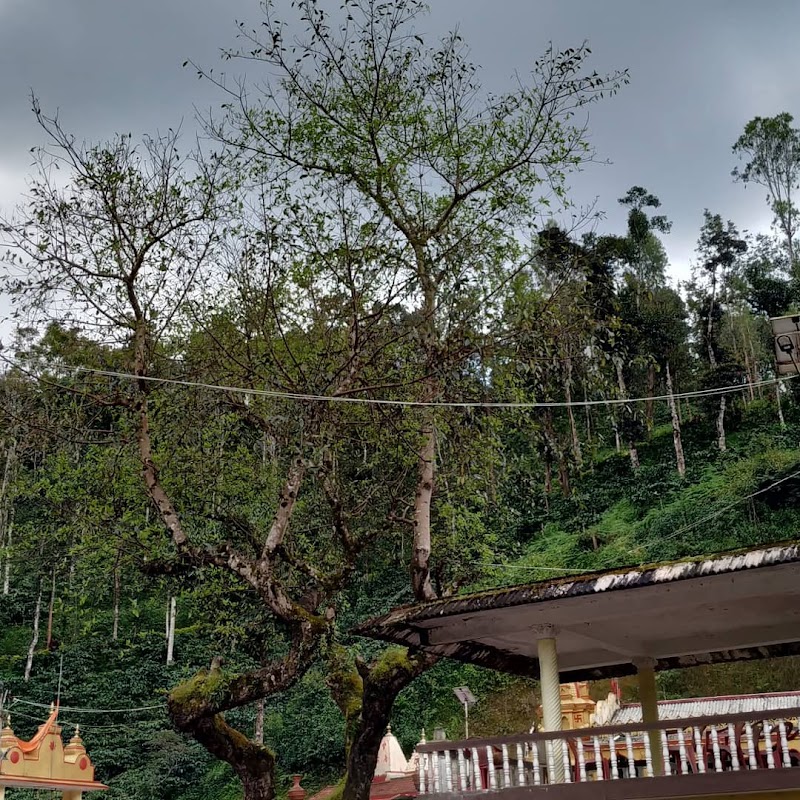 Sri Raja Rajeshwari Temple - Sri Raja Rajeshwari Temple CPVV+W77, Madikeri, Karnataka 571201, India