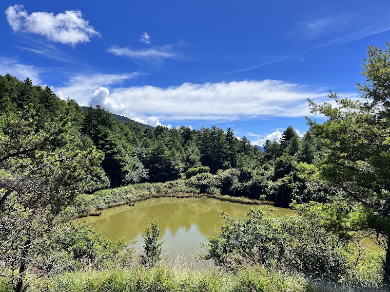 Daxueshan National Forest Recreation Area - Daxueshan National Forest Recreation Area, 424, Taiwan, Taichung City, Heping District, Zhongkeng Village, 雪山路18號