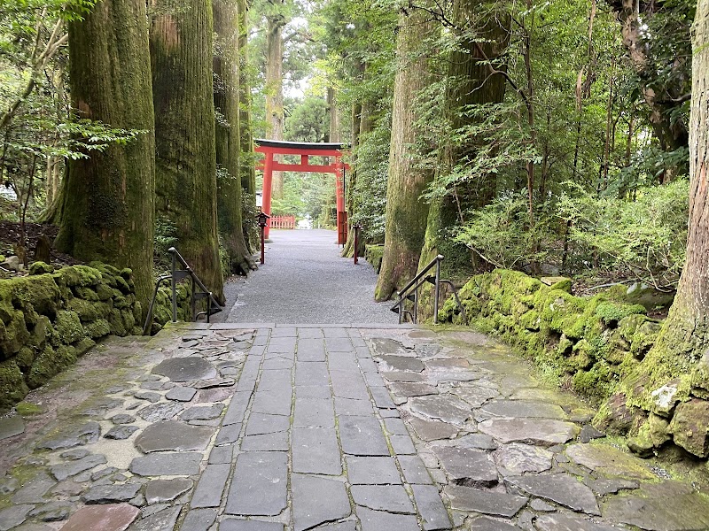 Heiwa-no-Torii (Hakone Shrine) - Heiwa-no-Torii (Hakone Shrine), 80-1 Motohakone, Hakone, Ashigarashimo District, Kanagawa 250-0522, Japan