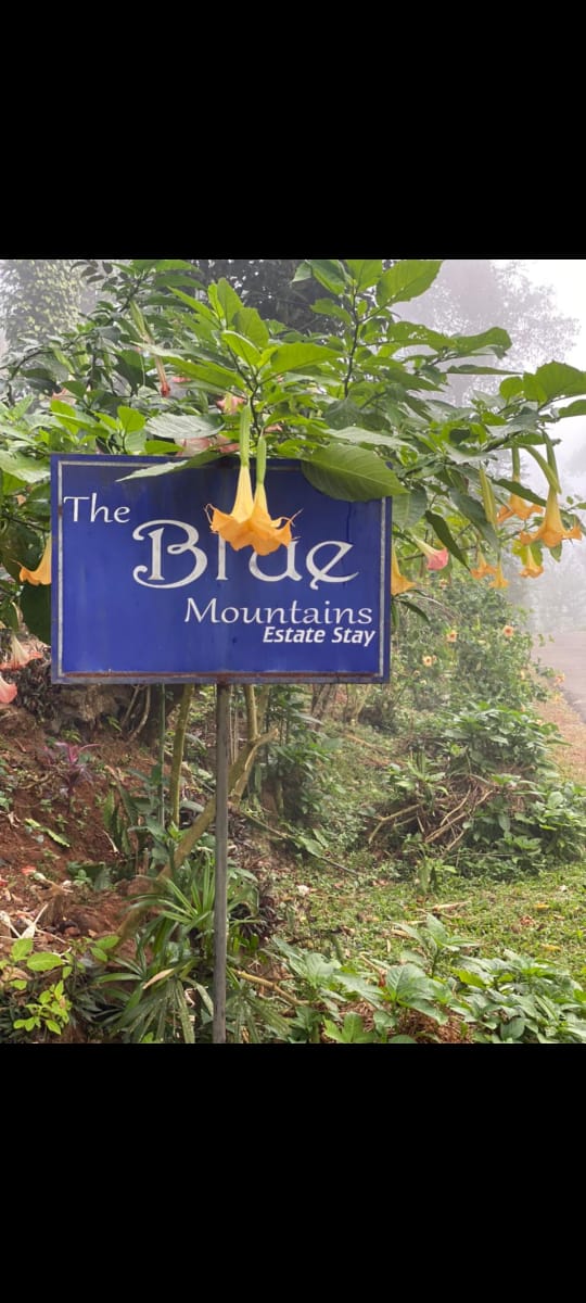 Blue Mountains Estate Stay - Blue Mountains Estate Stay Moovera" Trishul Estate, Kurali Road, Napoklu, Karnataka 571214, India