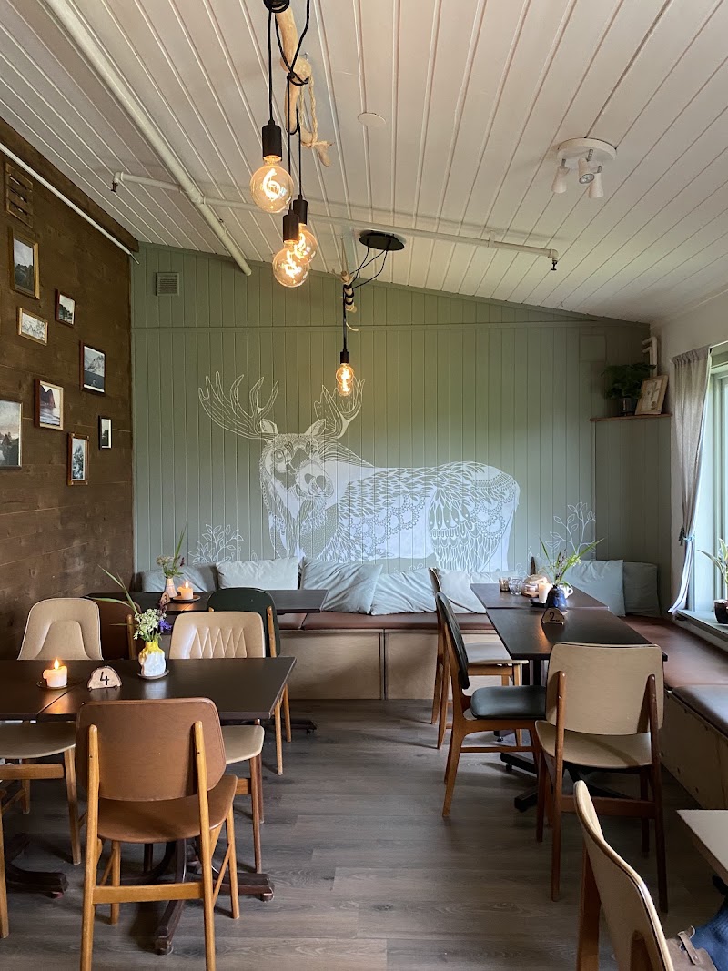 FURU Café - FURU Café, Knutstadveien 242, 8360 Bøstad, Norway