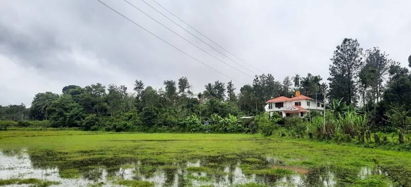 Kaveri Riverside Homestay - Kaveri Riverside Homestay Karidigodu Road, Siddapura, South Kodagu, Karadigodu, Karnataka 571253, India