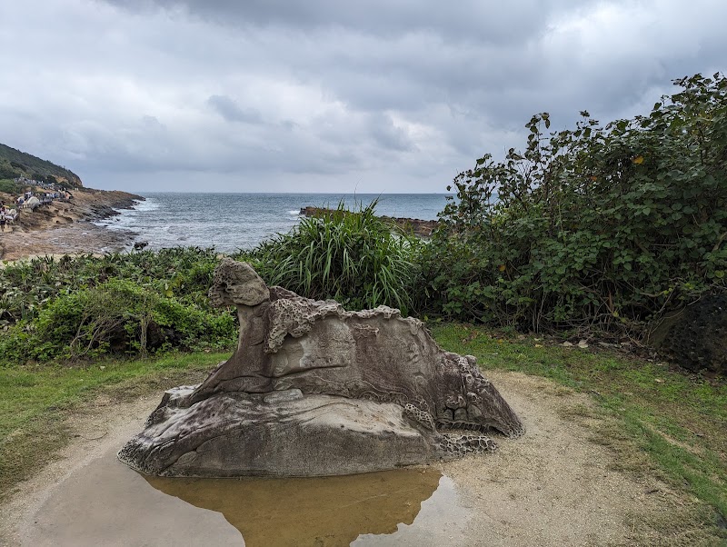 Yeliu Geology Park - Yeliu Geology Park, Wanli District, New Taipei City, Taiwan 207